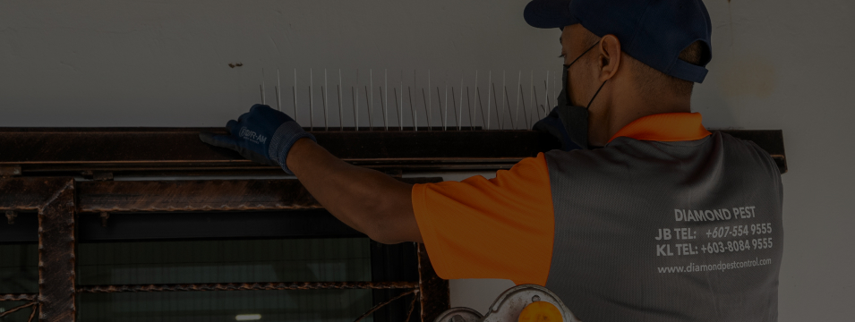 Ad-Hoc Pest Control Service (One-Time) Johor Bahru (JB) | Ad-Hoc Pest Control Service (One-Time) Selangor | Ad-Hoc Pest Control Service (One-Time) Kuala Lumpur (KL) | Ad-Hoc Pest Control Service (One-Time)  Melaka