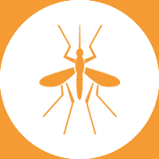 Mosquitoes - Pest Control Johor