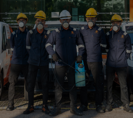 Diamond Pest Control | pest control Johor Bahru (JB) | pest control Selangor | pest control Kuala Lumpur (KL) | pest control Melaka