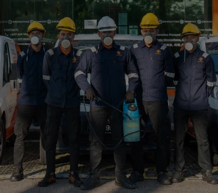 Diamond Pest Control | pest control Johor Bahru (JB) | pest control Selangor | pest control Kuala Lumpur (KL) | pest control Melaka