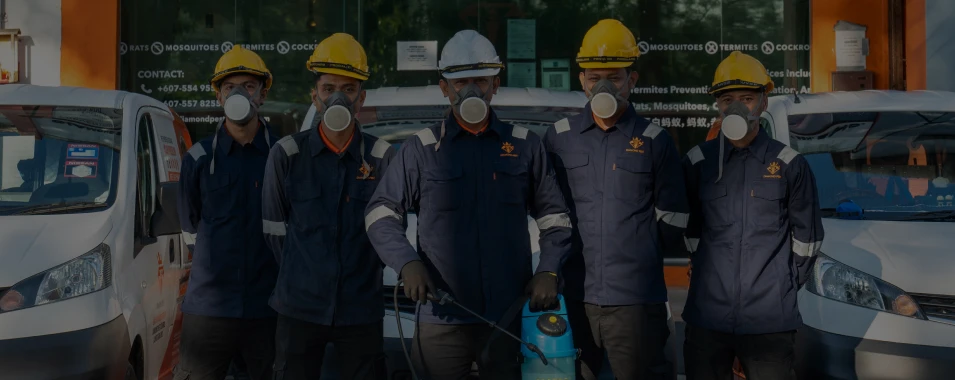 Diamond Pest Control | 新山商业灭虫服务 | 雪兰莪商业灭虫服务 | 吉隆坡商业灭虫服务 | 马六甲商业灭虫服务