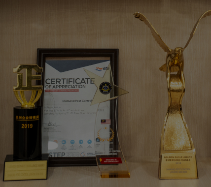 Diamond Pest Control | pest control Johor Bahru (JB) | pest control Selangor | pest control Kuala Lumpur (KL) | pest control Melaka