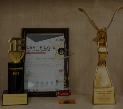 Diamond Pest Control | pest control Johor Bahru (JB) | pest control Selangor | pest control Kuala Lumpur (KL) | pest control Melaka
