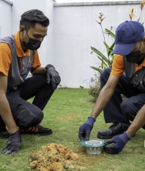 Termite Drilling Method Johor Bahru (JB) | Termite Drilling Method Selangor | Termite Drilling Method Kuala Lumpur (KL) | Termite Drilling Method Melaka