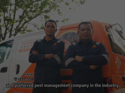 Diamond Pest Control | Pest control Johor Bahru (JB) | Pest control Selangor | Pest control Kuala Lumpur (KL) | Pest control Melaka